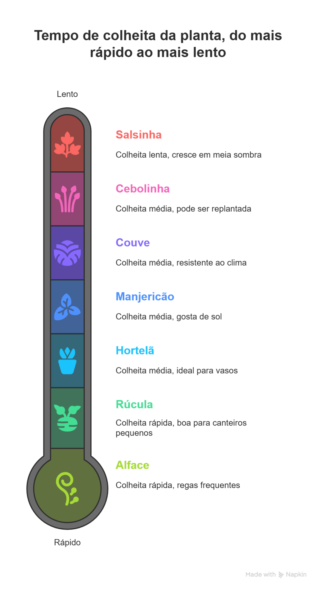 Plantas mais fáceis de se plantar